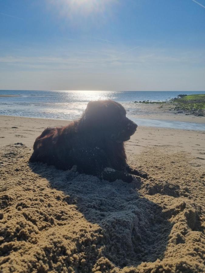 Meerblick Wattenmeer ,50M Vom Meer,Strand 300M Westerland Εξωτερικό φωτογραφία