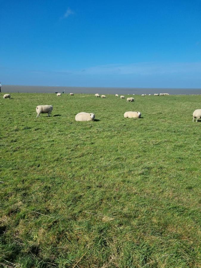 Meerblick Wattenmeer ,50M Vom Meer,Strand 300M Westerland Εξωτερικό φωτογραφία
